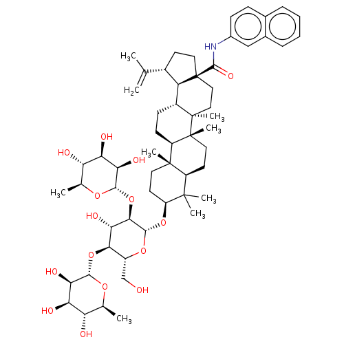 PNG