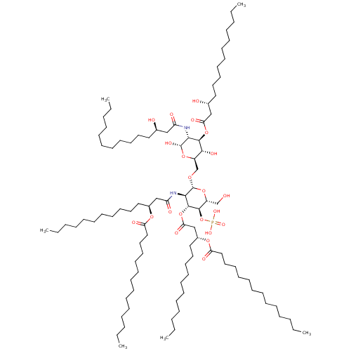 PNG