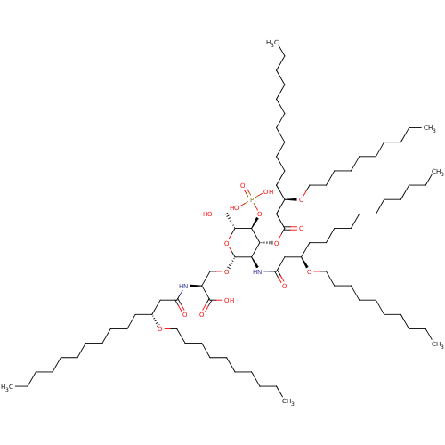 PNG