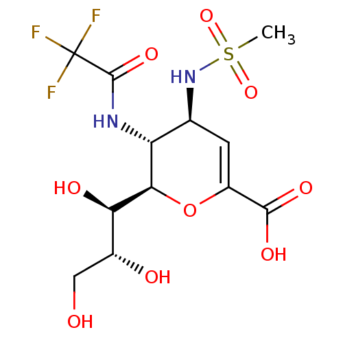 PNG