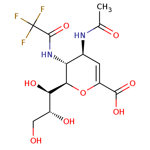 PNG