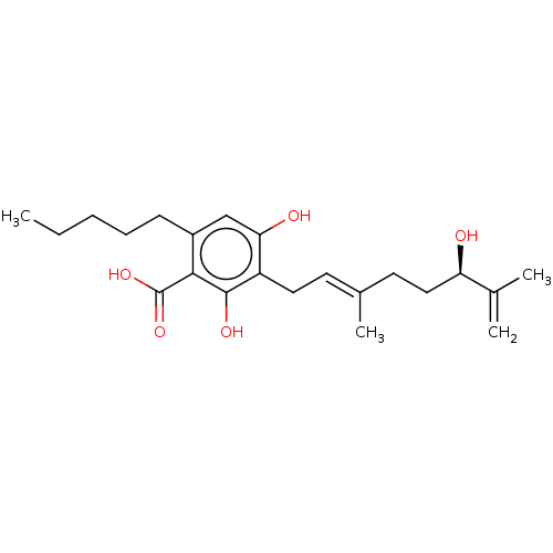 PNG