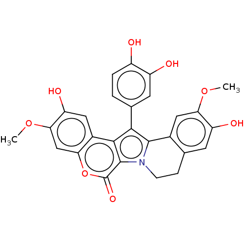 PNG