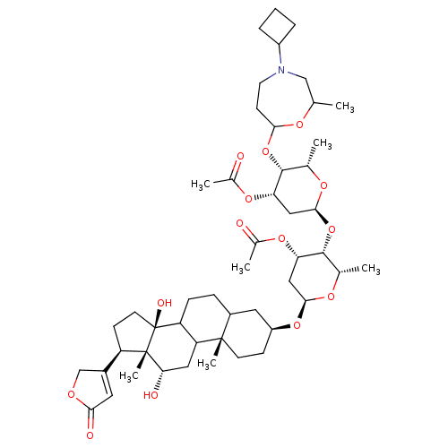 PNG