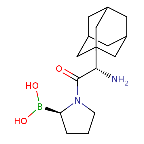 PNG