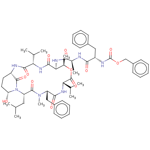 PNG