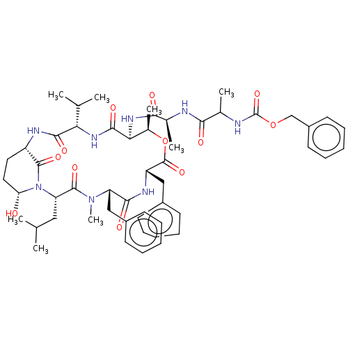 PNG