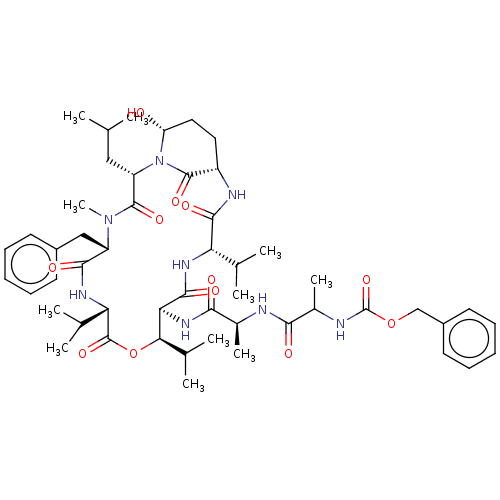 PNG