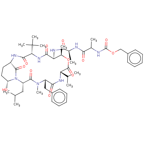PNG