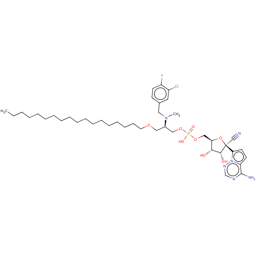 PNG