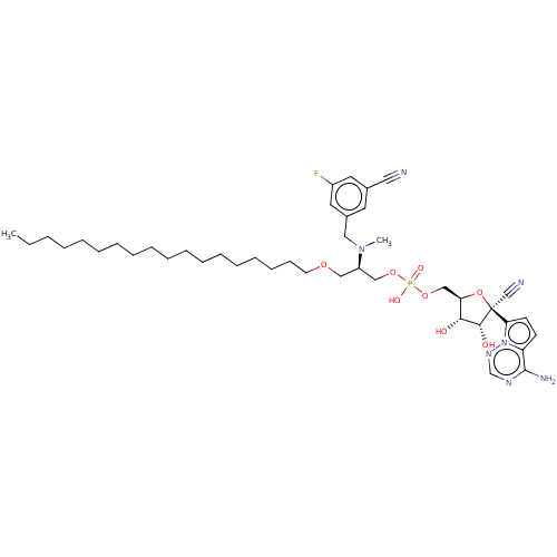 PNG