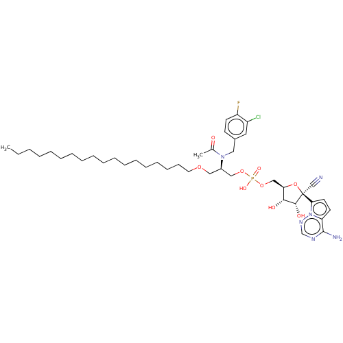 PNG