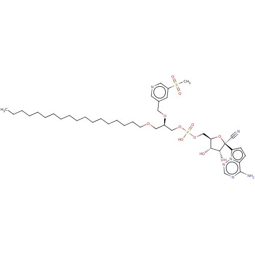 PNG