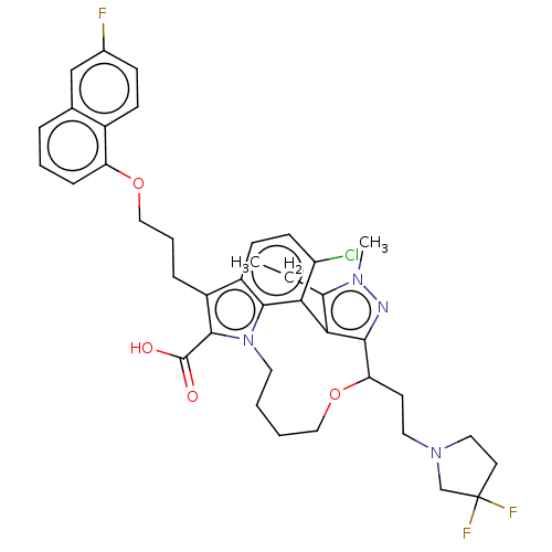 PNG