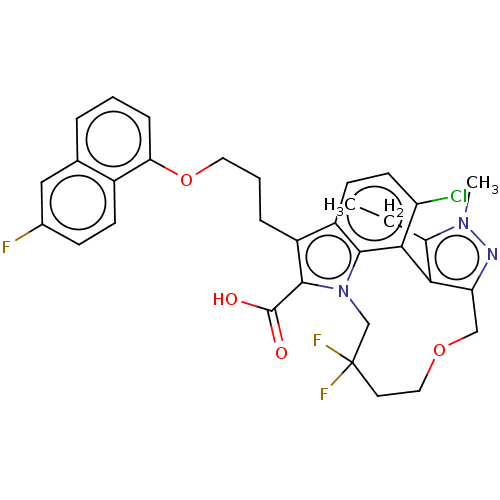 PNG