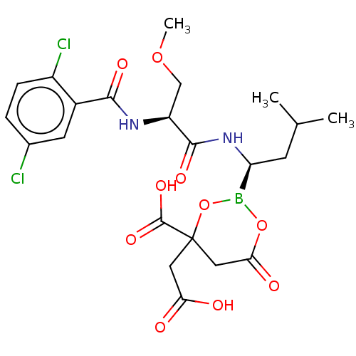 PNG