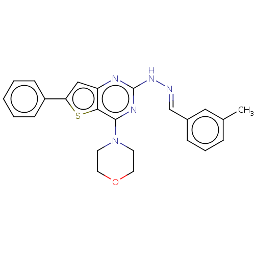 PNG