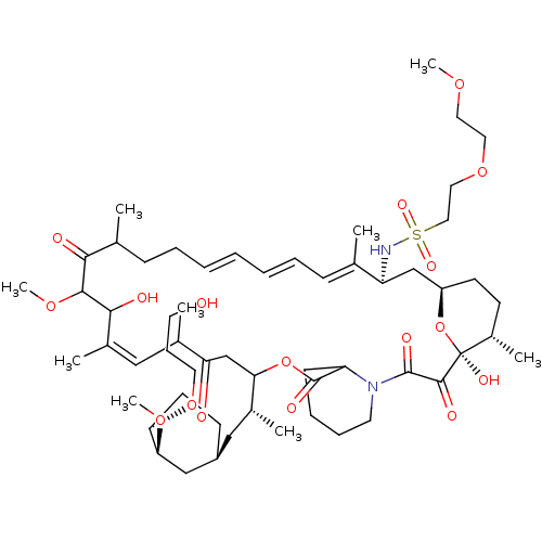 PNG