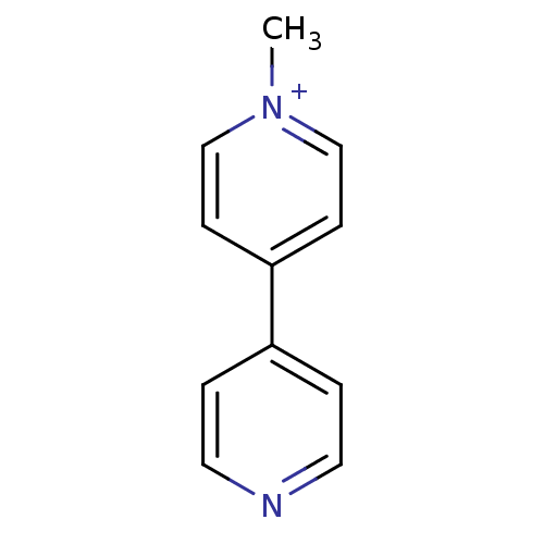 PNG
