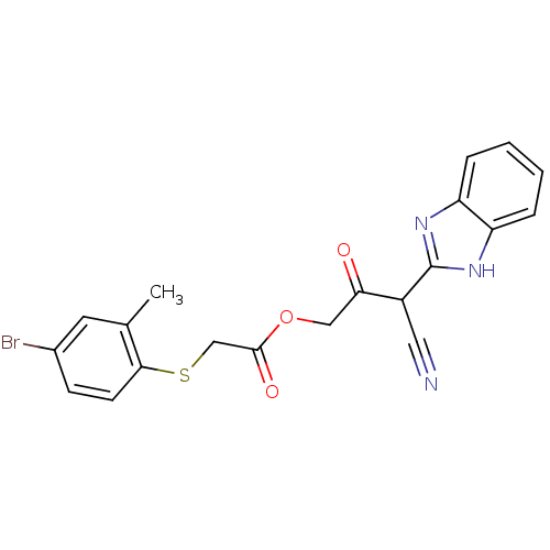 PNG