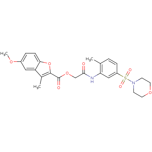 PNG