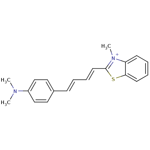 PNG