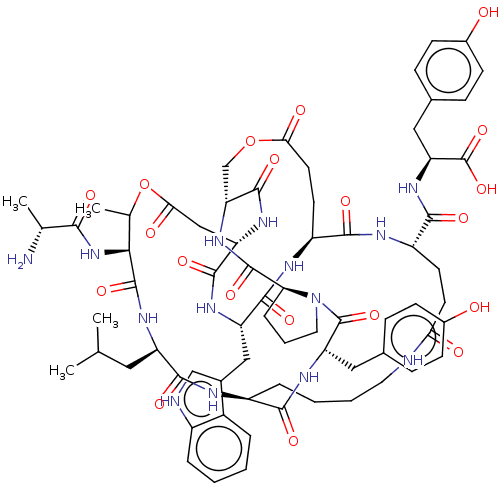 PNG
