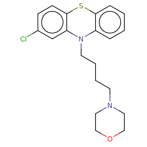 PNG