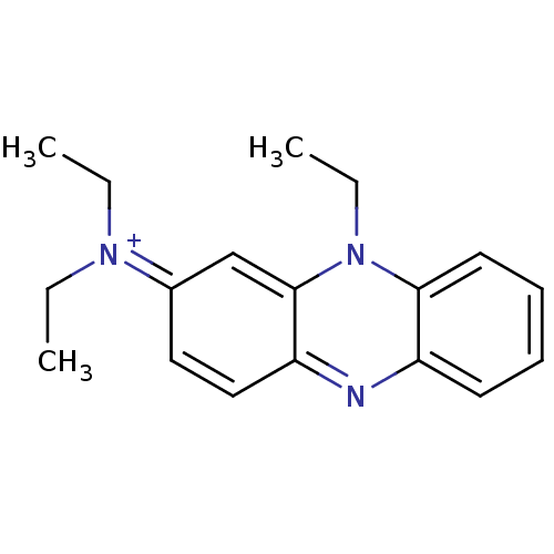 PNG