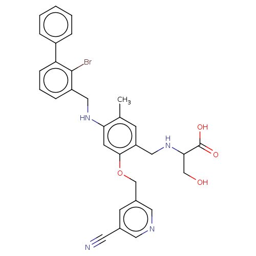 PNG