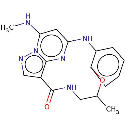 PNG