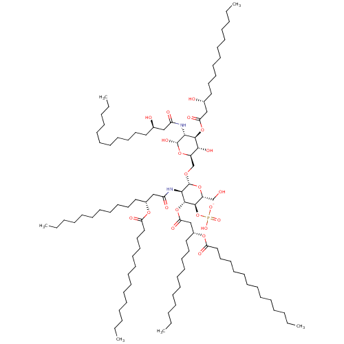 PNG