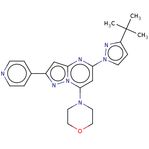 PNG