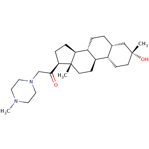 PNG