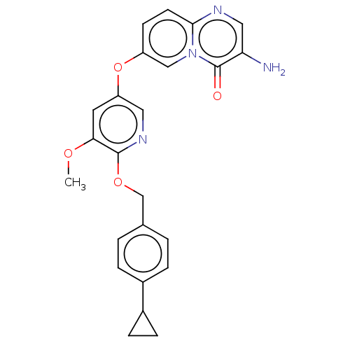 PNG