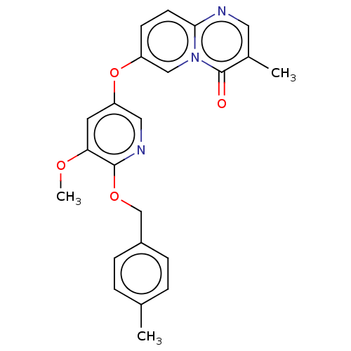 PNG
