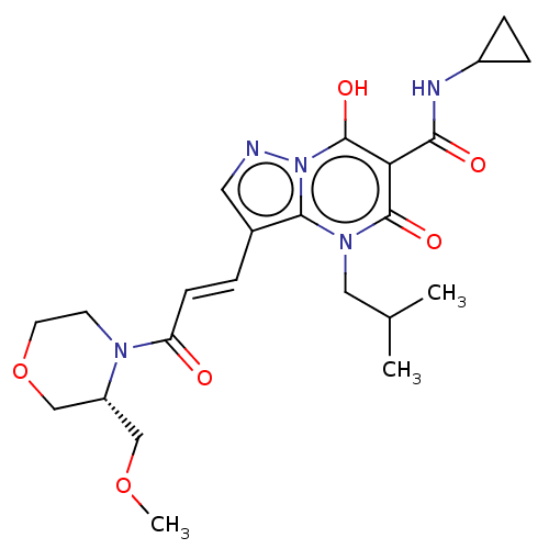 PNG