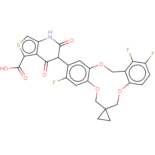 PNG