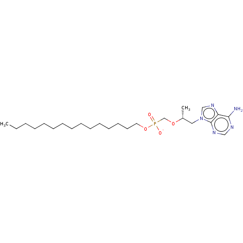 PNG