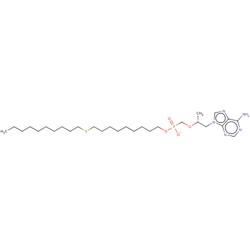 PNG