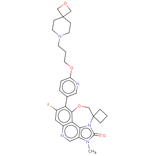 PNG