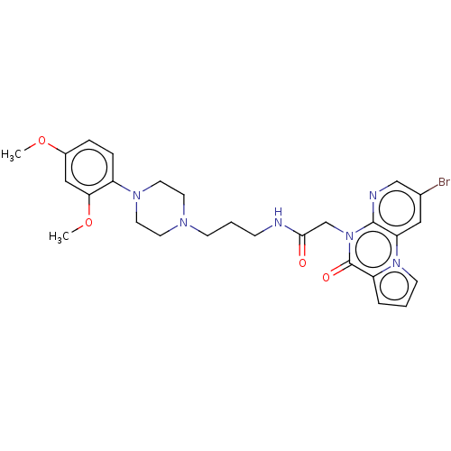 PNG