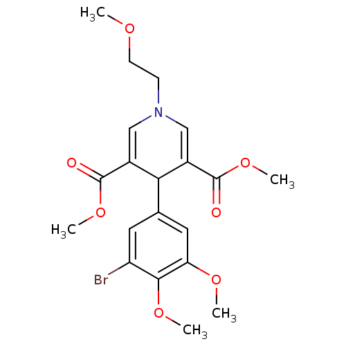 PNG