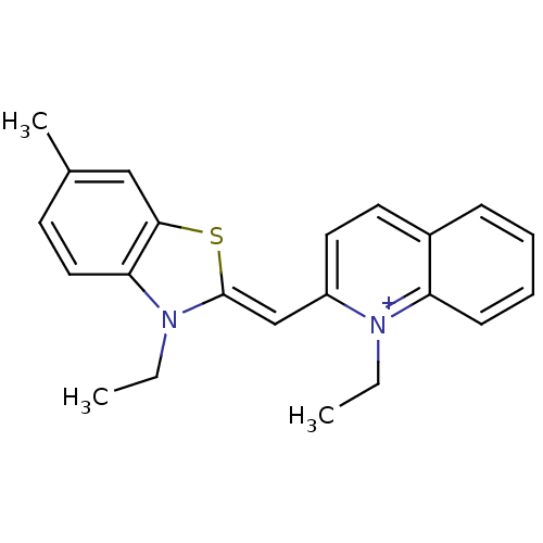 PNG