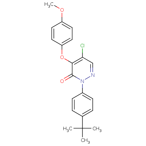 PNG