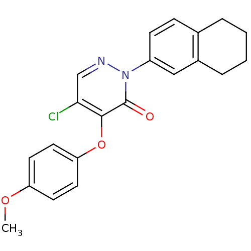 PNG