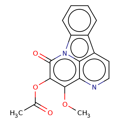 PNG