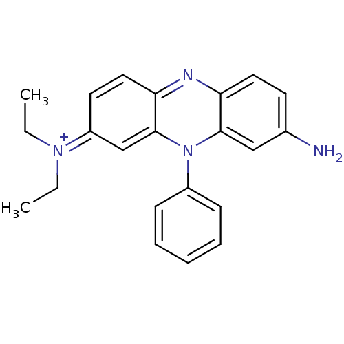 PNG