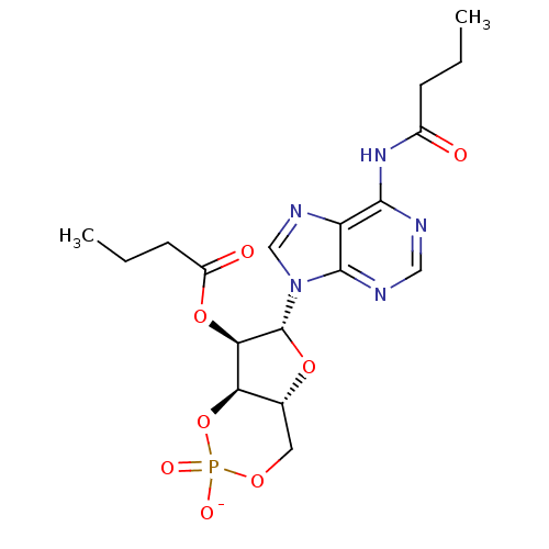 PNG