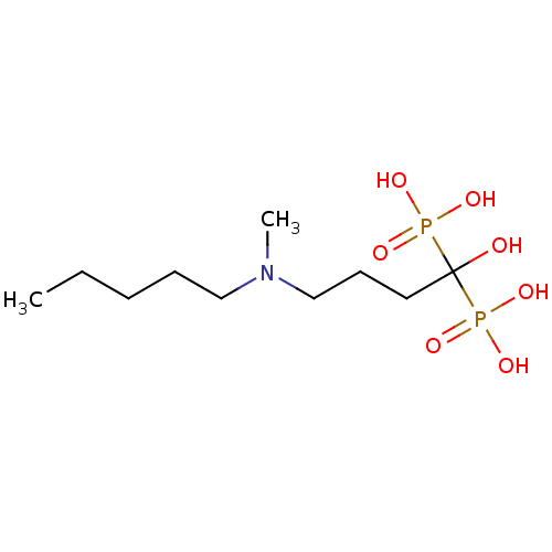 PNG